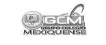 GRUPO COLEGIO MEXIQUENSE